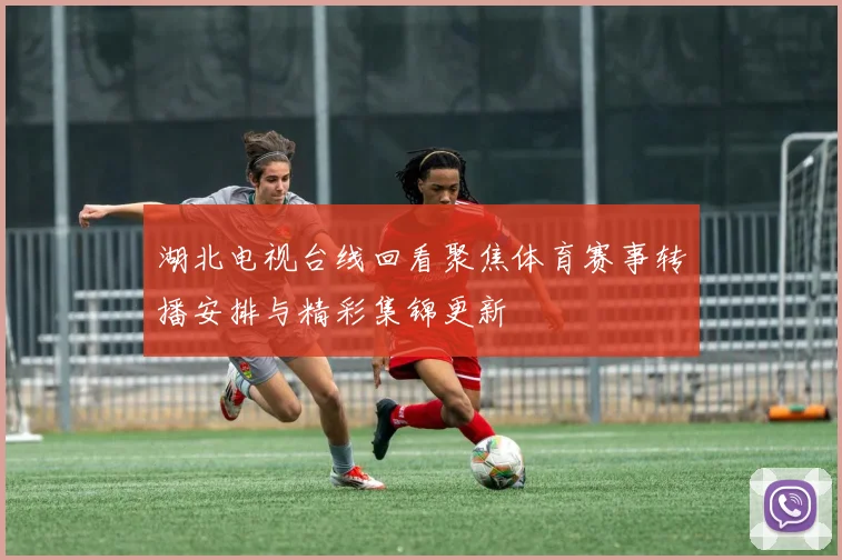 湖北电视台线回看聚焦体育赛事转播安排与精彩集锦更新