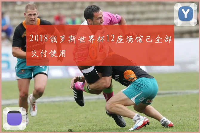 2018俄罗斯世界杯12座场馆已全部交付使用