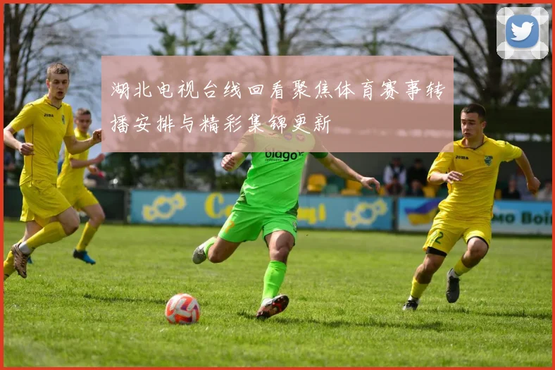 湖北电视台线回看聚焦体育赛事转播安排与精彩集锦更新
