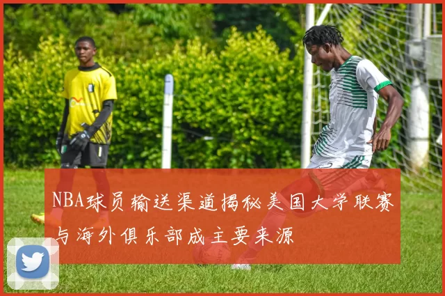 NBA球员输送渠道揭秘美国大学联赛与海外俱乐部成主要来源