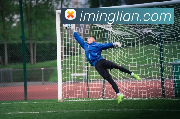 App Interface Preview